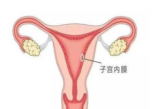 北京助孕生子：试管婴儿费用一次了解清楚，各流程费用全部摸清