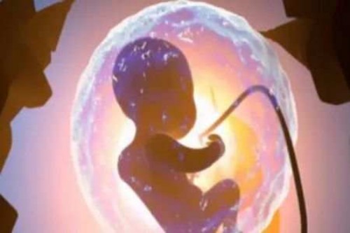 北京助孕生子：想知道为什么7个月b超女翻男的几率大增？了解这三大原因