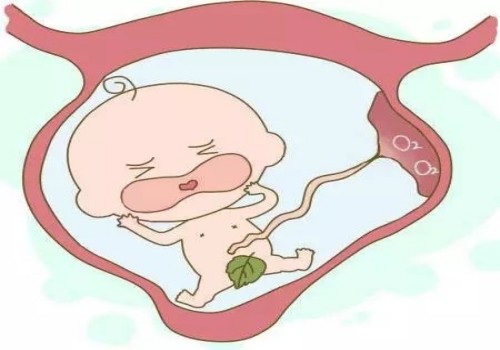 广州三代试管婴儿价格揭秘，看看需要花费多少钱