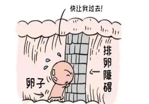 北京试管婴儿价格：宫外孕有什么办法避免,注意这几点预防宫外孕