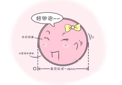 试管移植生化了之后第二次移植的最佳时间你知道吗？