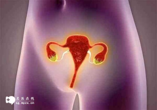 新生儿哺乳注意事项分享，宝妈们要牢记这五点