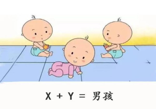郑州供卵试管包男孩包出生怎么样,郑州哪里可以做第三代试管婴儿